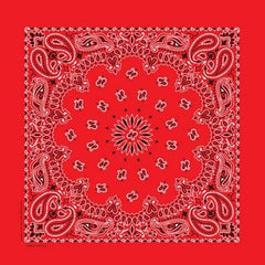 NT4401 Bandana Paisley Red Daniel Smart Manufacturing