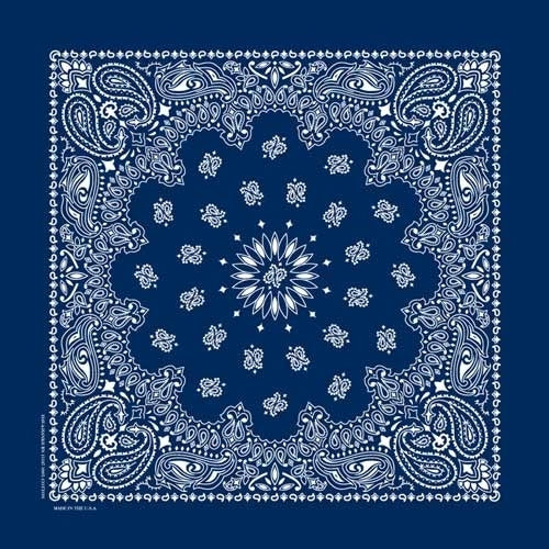 NT4402 Bandana Paisley Navy Daniel Smart Manufacturing