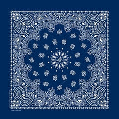 NT4402 Bandana Paisley Navy Daniel Smart Manufacturing