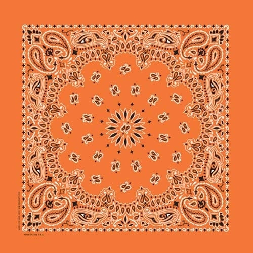 NT4404 Bandana Paisley Orange Daniel Smart Manufacturing