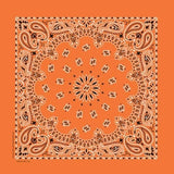 NT4404 Bandana Paisley Orange Daniel Smart Manufacturing