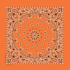 NT4404 Bandana Paisley Orange Daniel Smart Manufacturing