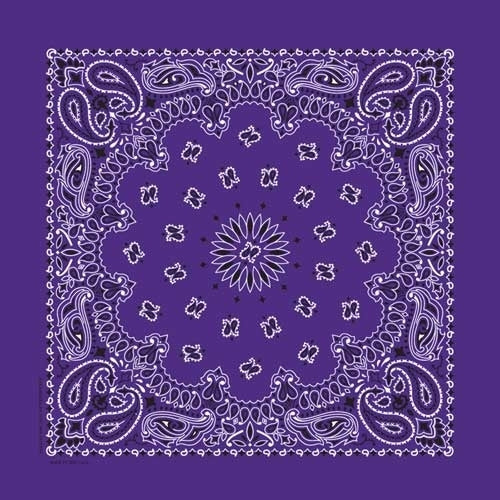 NT4406 Bandana Paisley Purple Daniel Smart Manufacturing