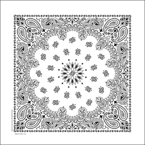 NT4409 Bandana Paisley White - Daniel Smart Manufacturing