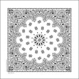 NT4409 Bandana Paisley White Daniel Smart Manufacturing