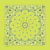 NT4410 Bandana Paisley Lime Daniel Smart Manufacturing