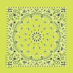 NT4410 Bandana Paisley Lime - Daniel Smart Manufacturing