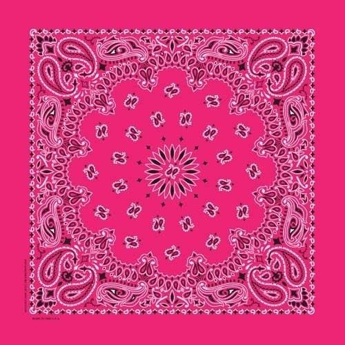 NT4413 Bandana Paisley Hot Pink Daniel Smart Manufacturing