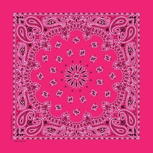 NT4413 Bandana Paisley Hot Pink Daniel Smart Manufacturing