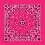 NT4413 Bandana Paisley Hot Pink Daniel Smart Manufacturing