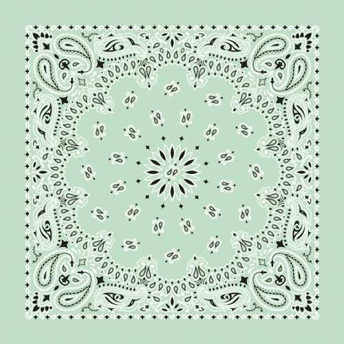 NT4414 Bandana Paisley Mint Daniel Smart Manufacturing