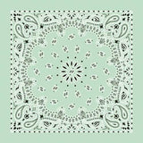 NT4414 Bandana Paisley Mint Daniel Smart Manufacturing