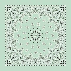 NT4414 Bandana Paisley Mint Daniel Smart Manufacturing