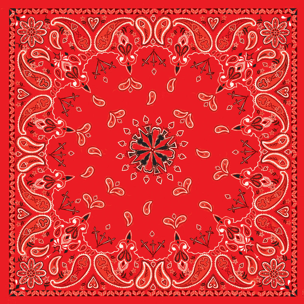 B003- Bandanna Red Paisley Daniel Smart Manufacturing