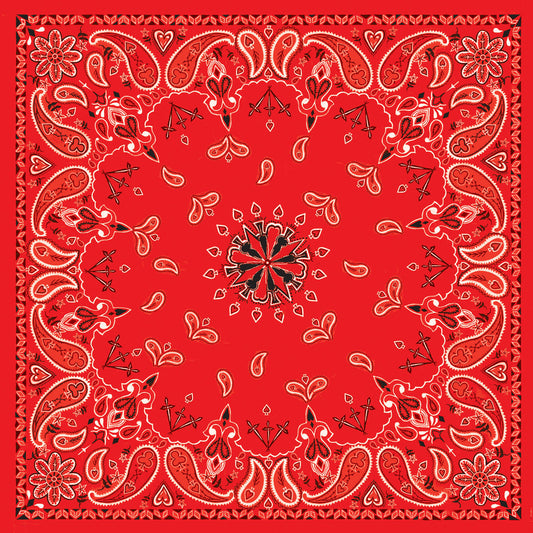 B003- Bandanna Red Paisley Daniel Smart Manufacturing