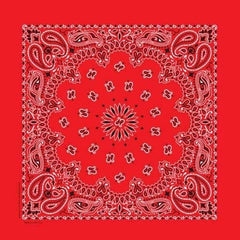 BD2500 Bandana Paisley Red - Daniel Smart Manufacturing