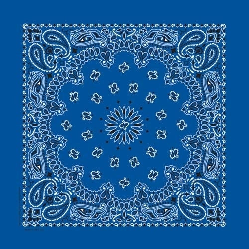 BD2501 Bandana Paisley Royal Daniel Smart Manufacturing