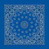 BD2501 Bandana Paisley Royal Daniel Smart Manufacturing