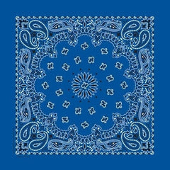 BD2501 Bandana Paisley Royal - Daniel Smart Manufacturing