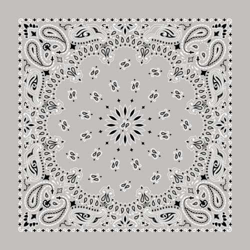 BD2502 Bandana Paisley Silver Daniel Smart Manufacturing