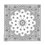 BD2504 Bandana Paisley White Daniel Smart Manufacturing