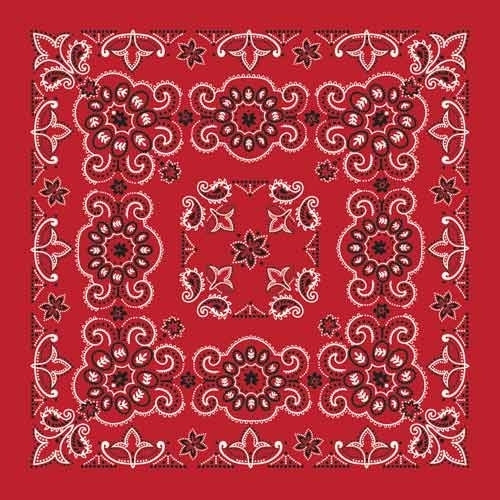 BD2507 Bandana Texas Paisley Red [27" x27"] Daniel Smart Manufacturing