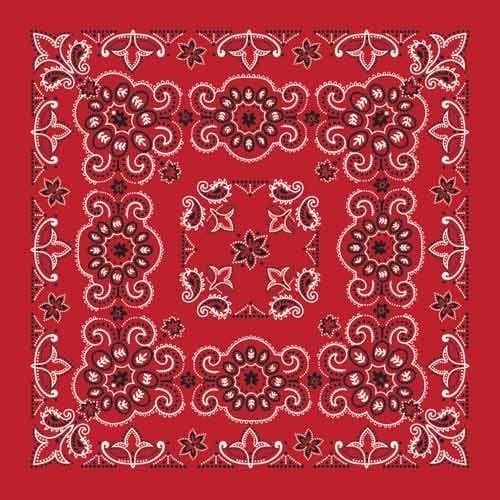 BD2507 Bandana Texas Paisley Red [27" x27"] - Daniel Smart Manufacturing