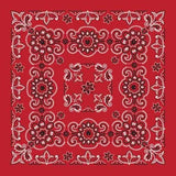 BD2507 Bandana Texas Paisley Red [27" x27"] Daniel Smart Manufacturing