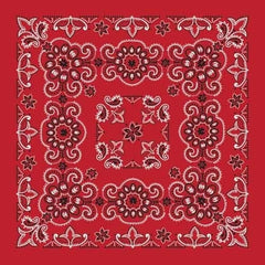 BD2507 Bandana Texas Paisley Red [27" x27"] - Daniel Smart Manufacturing