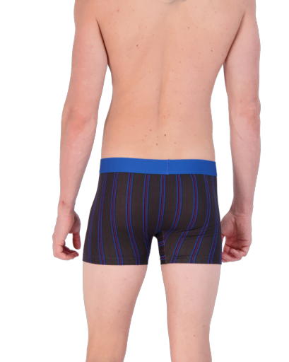 Wood Underwear triple threat boxer brief w/fly