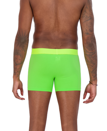 Wood Underwear jasmine boxer brief w/fly