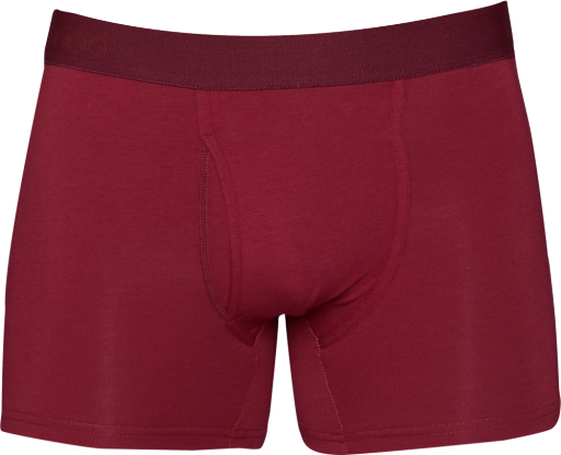 Wood Underwear burgundy red boxer brief w/fly