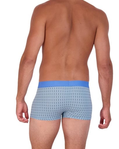 Wood Underwear steel blue rings trunk