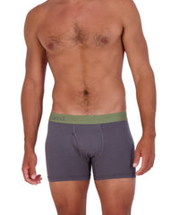 Wood Underwear iron boxer brief w/fly