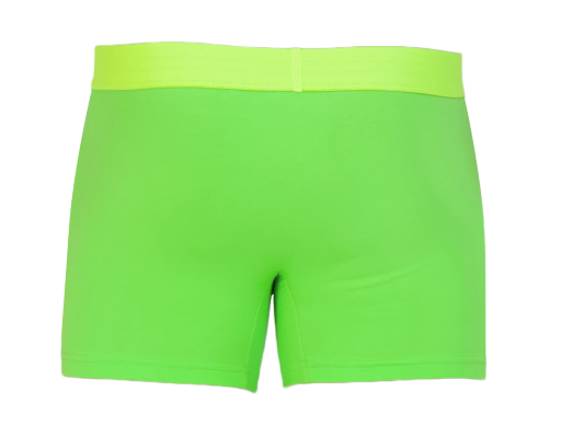 Wood Underwear jasmine boxer brief w/fly