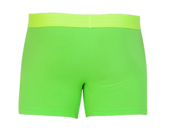 Wood Underwear jasmine boxer brief w/fly