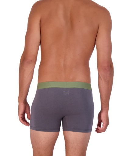 Wood Underwear iron boxer brief w/fly