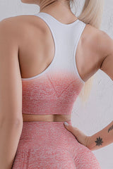 Gradient Sports Bra and Leggings Set - Flyclothing LLC