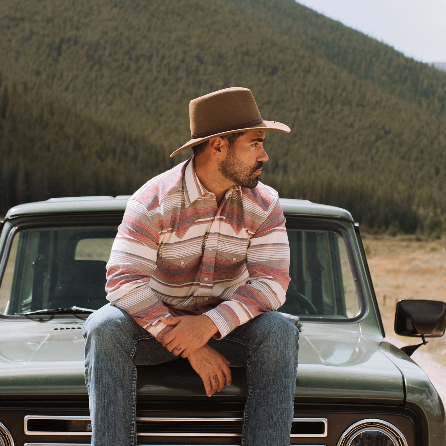 Stetson Brushed Twill Striped Shirt