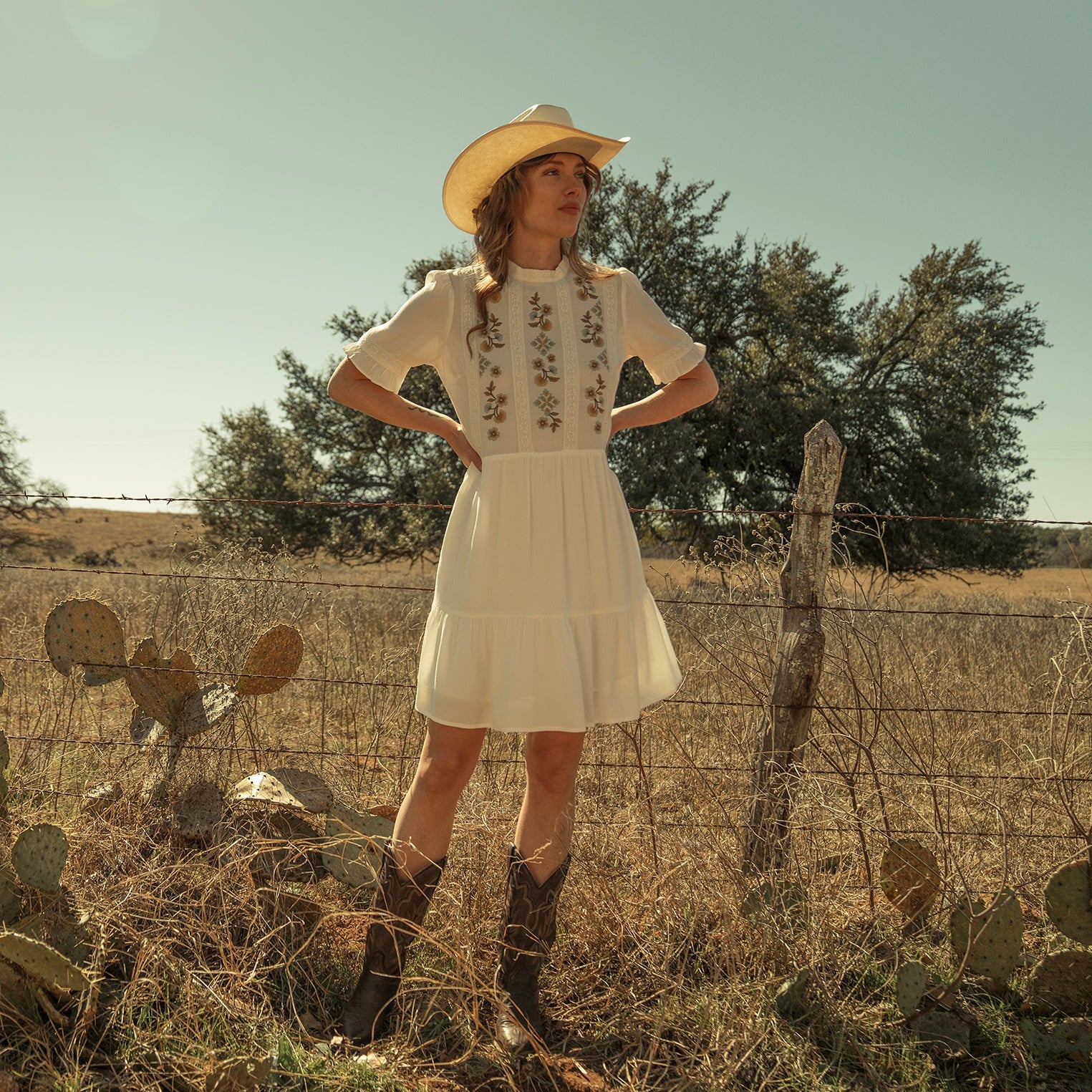 Stetson Flat Weave Dress