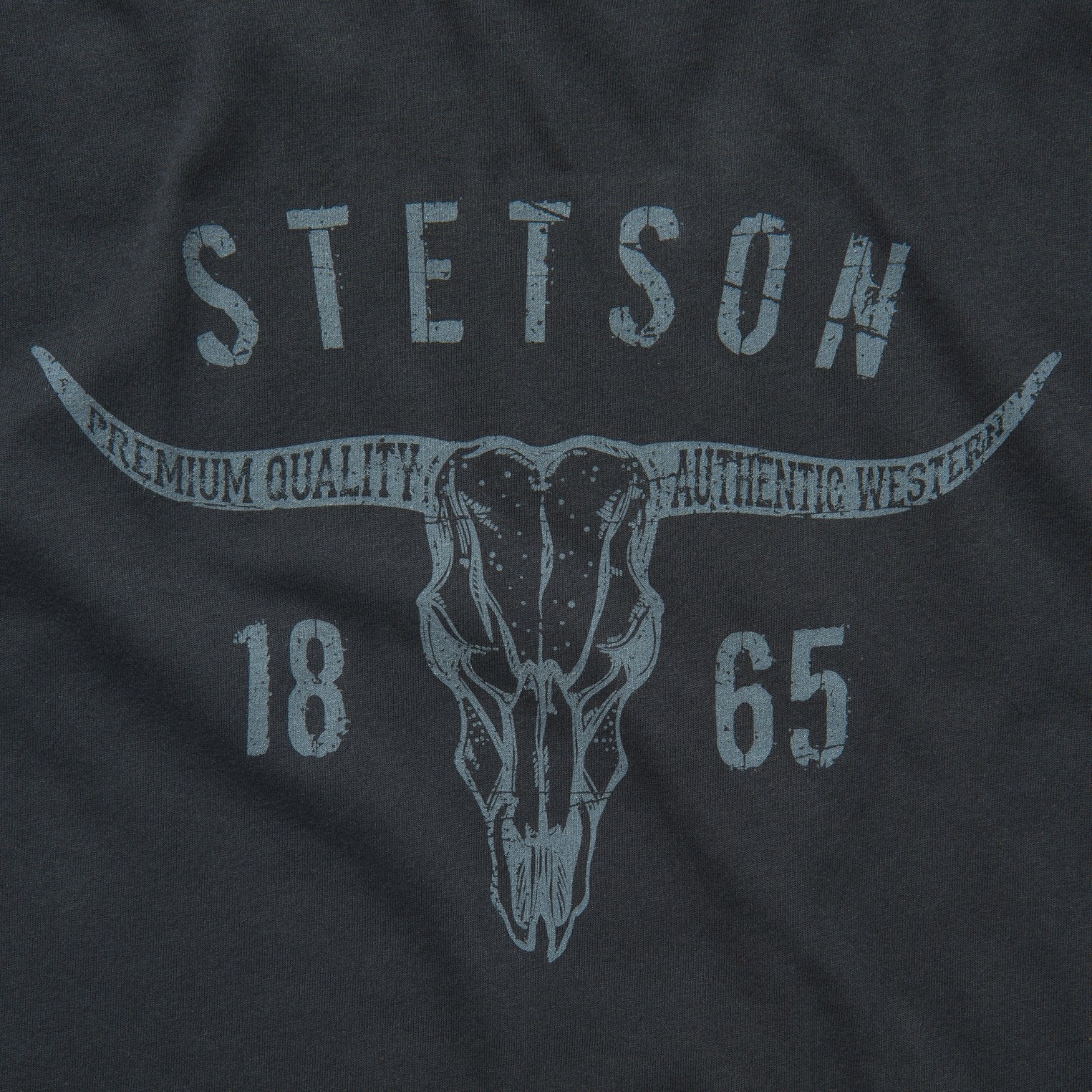 Stetson Longhorn Graphic Tee - Flyclothing LLC