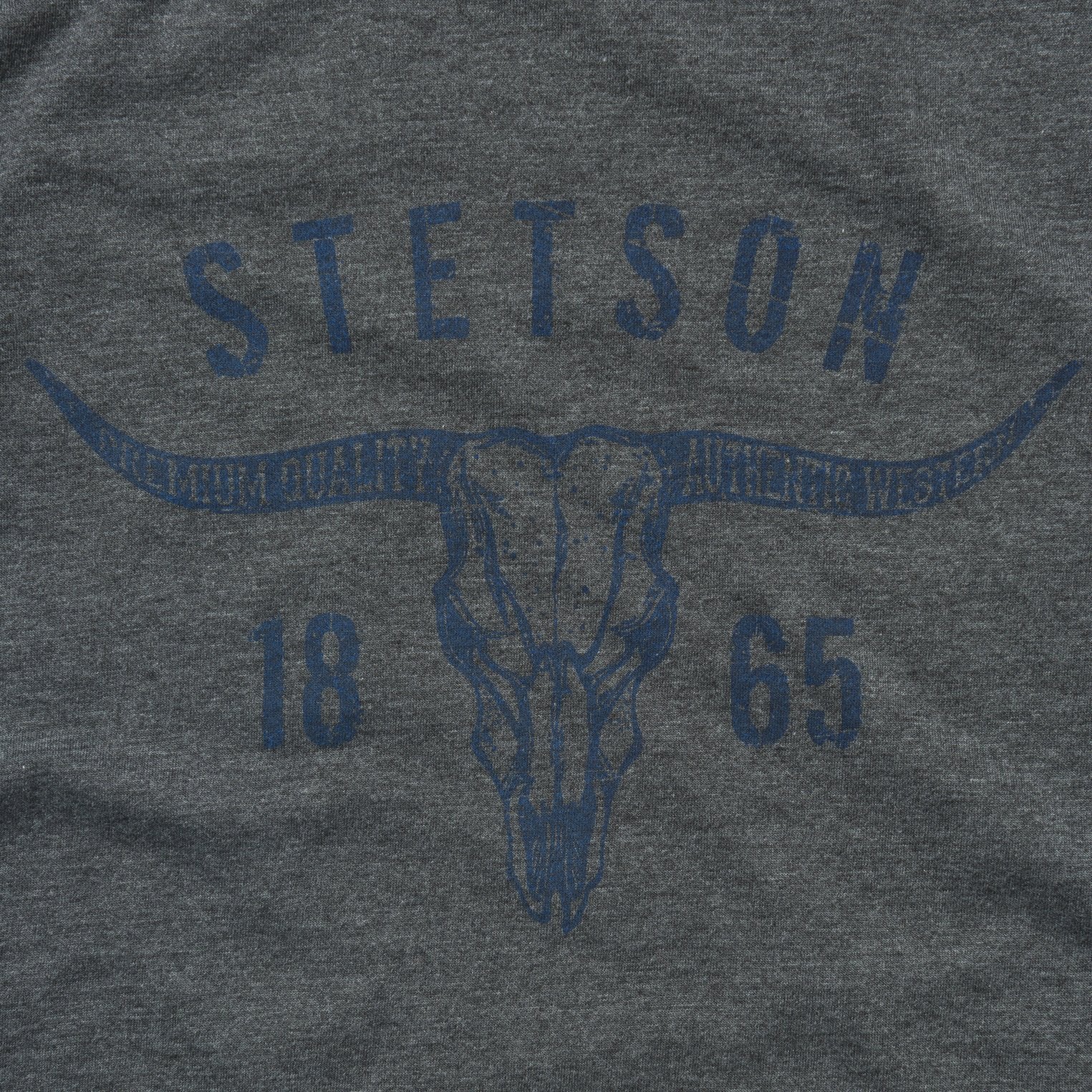 Stetson Longhorn Graphic Tee