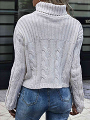 Cable-Knit Turtleneck Sweater - Trendsi