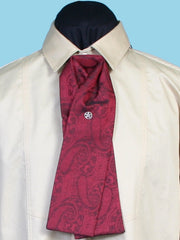 Scully Paisley gentlemen's tie - Flyclothing LLC