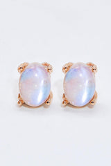 Natural Moonstone 4-Prong Stud Earrings - Flyclothing LLC