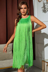 Sleeveless Round Neck Fringe Dress - Trendsi