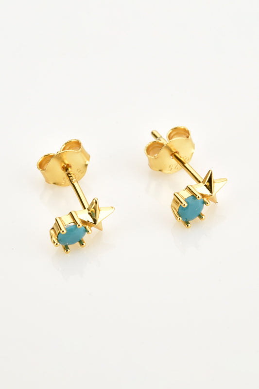 Zircon Star Stud Earrings - Flyclothing LLC