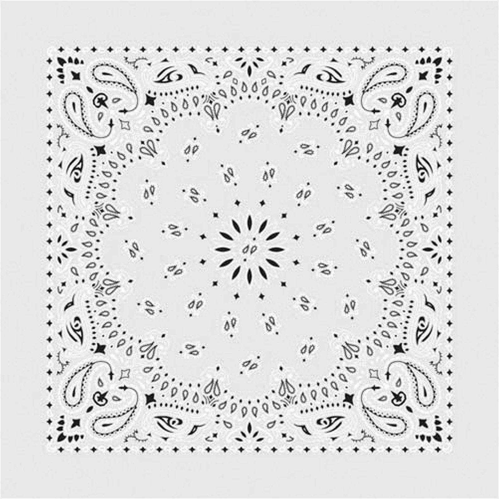 Paisley Western Cotton Bandana in White - Rockmount Clothing