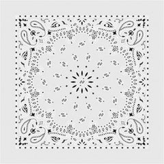 Paisley Western Cotton Bandana in White - Rockmount Clothing