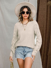 Openwork Round Neck Raglan Sleeve Sweater - Flyclothing LLC